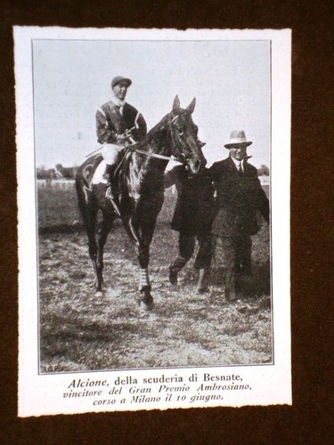Milano nel 1917 - , cavallo