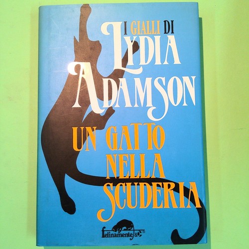 Gatto nella scuderia - gatto,