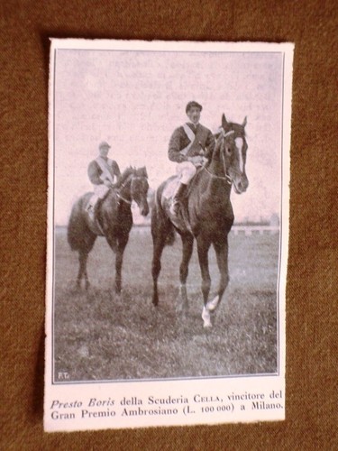Milano nel 1920 - , cavalli